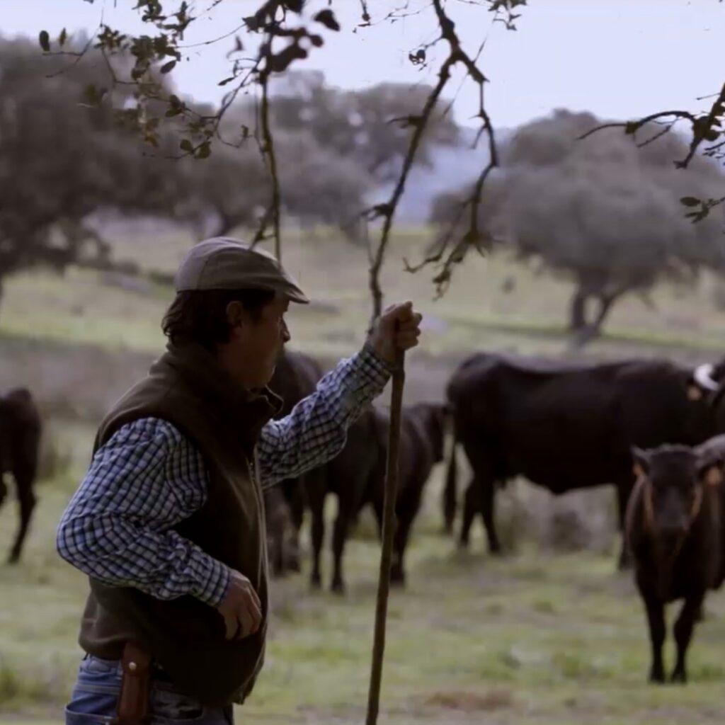 ¡Compromiso con la calidad! Así garantizamos el bienestar animal en HAMBURDEHESA